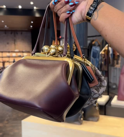 Small Kisslock Frame Shoulder Clutch bag