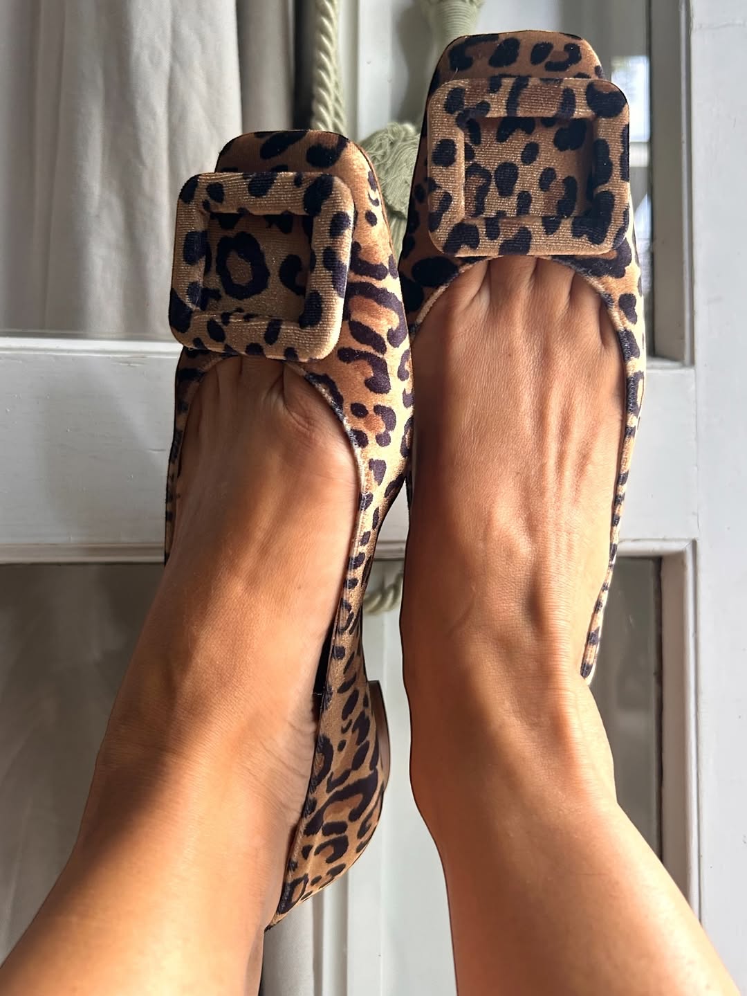 Print Velvet Ballet Flats