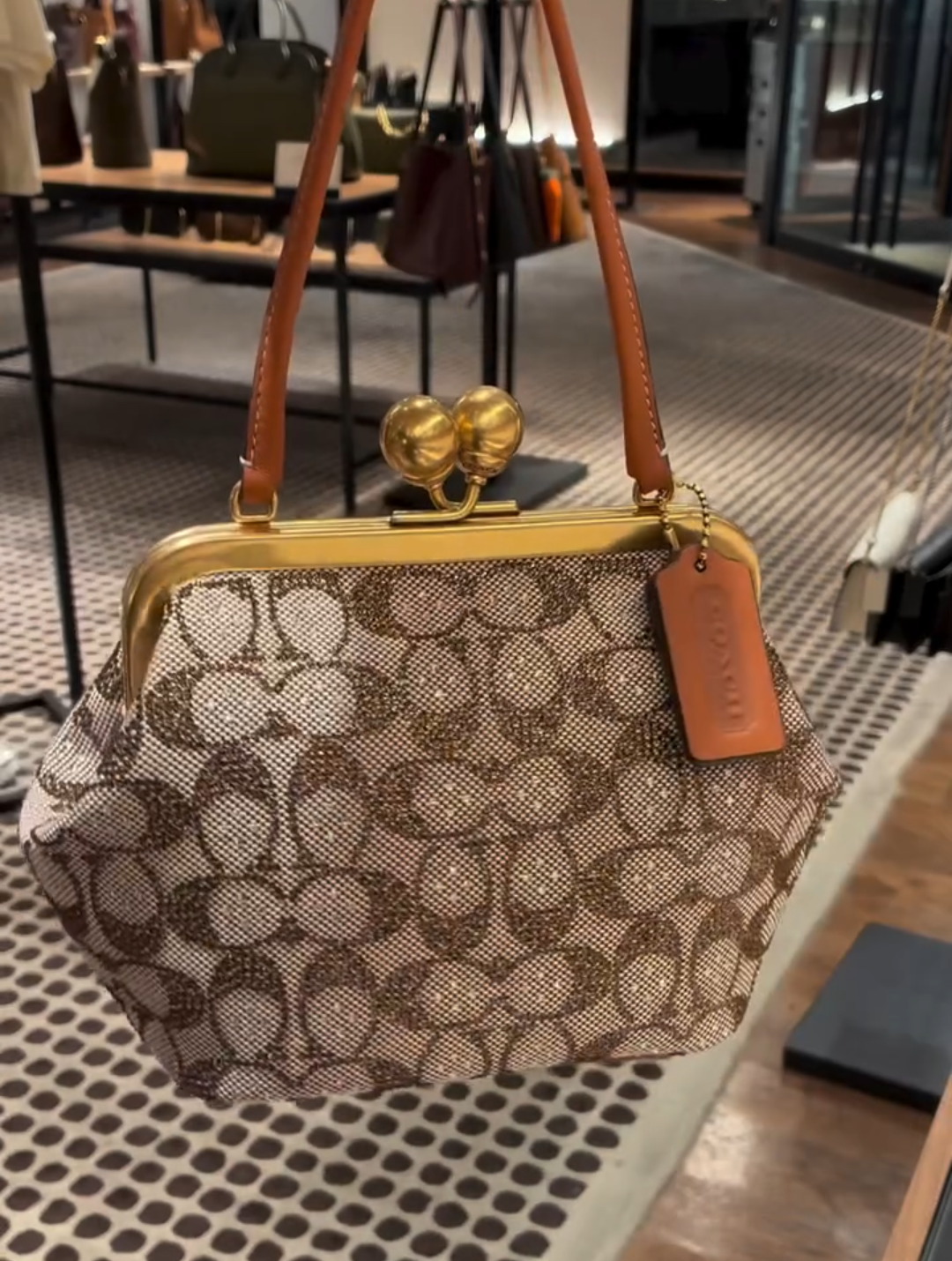 Small Kisslock Frame Shoulder Clutch bag